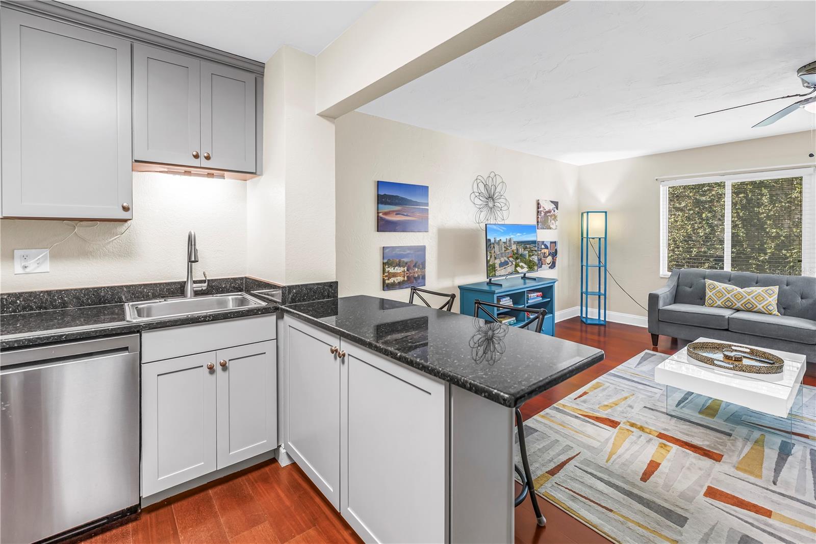 210 5TH AVENUE S, #303, St Petersburg, FL 33701