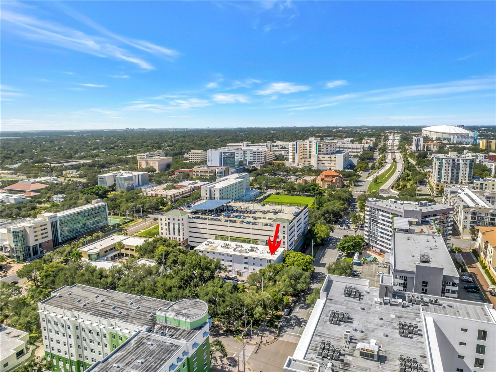210 5TH AVENUE S, #303, St Petersburg, FL 33701