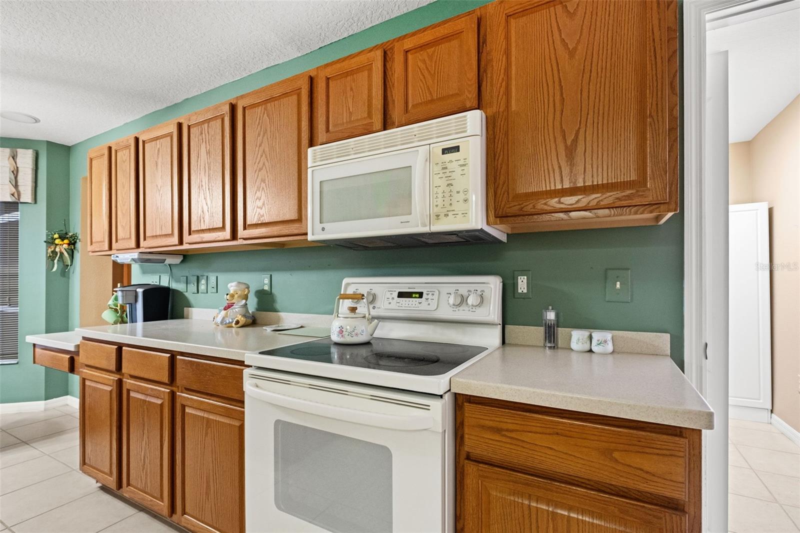 10628 COLLAR DRIVE, San Antonio, FL 33576