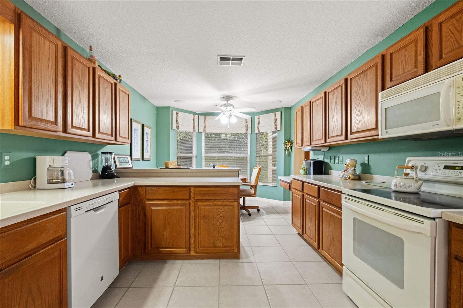 10628 COLLAR DRIVE, San Antonio, FL 33576