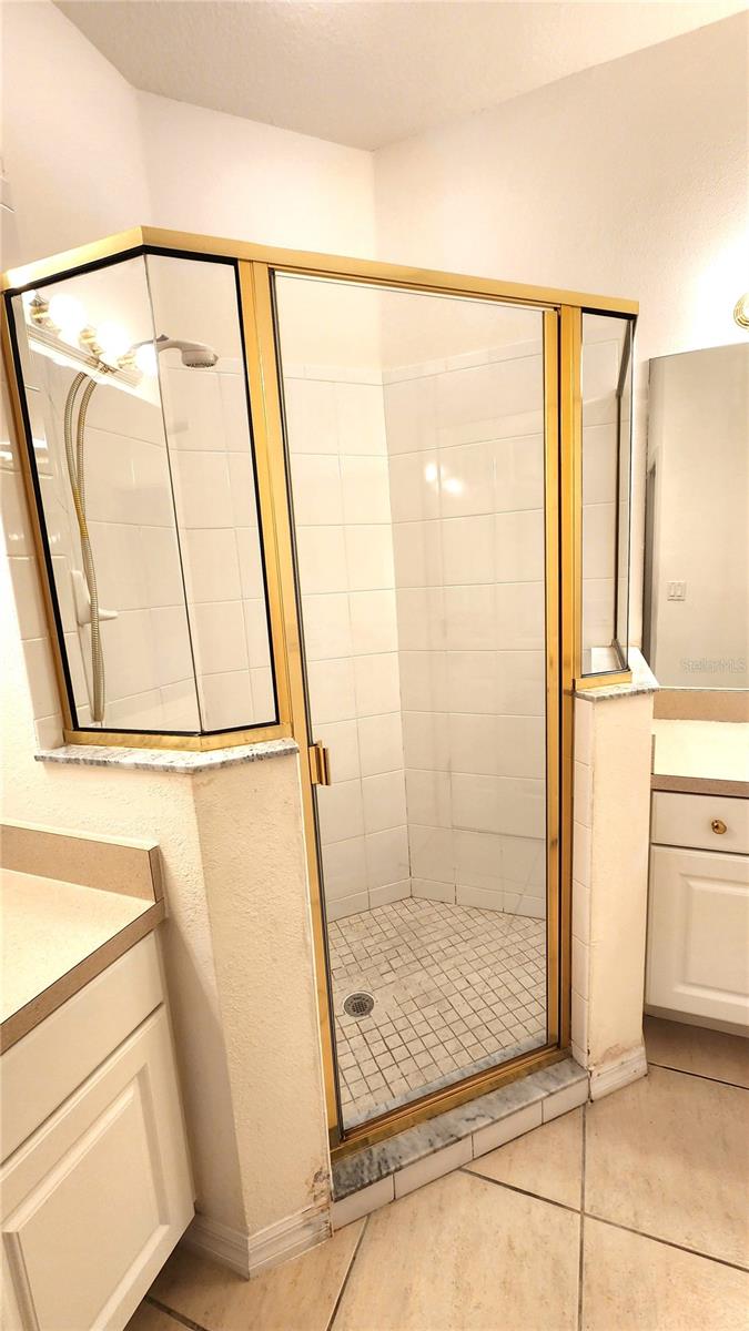 Primary bath walk-in shower.