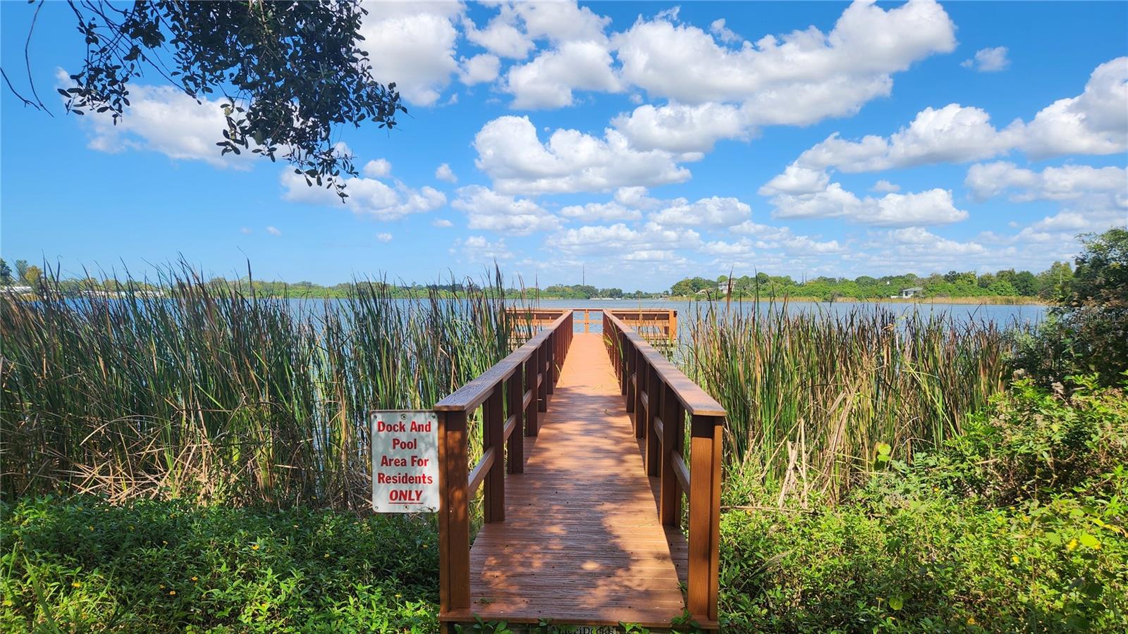 Dock leading to Lake.