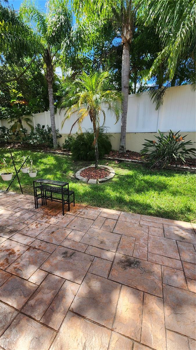 Paved area outside patio.
