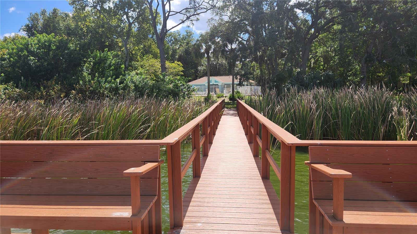 Dock with seating to enjoy Nature.