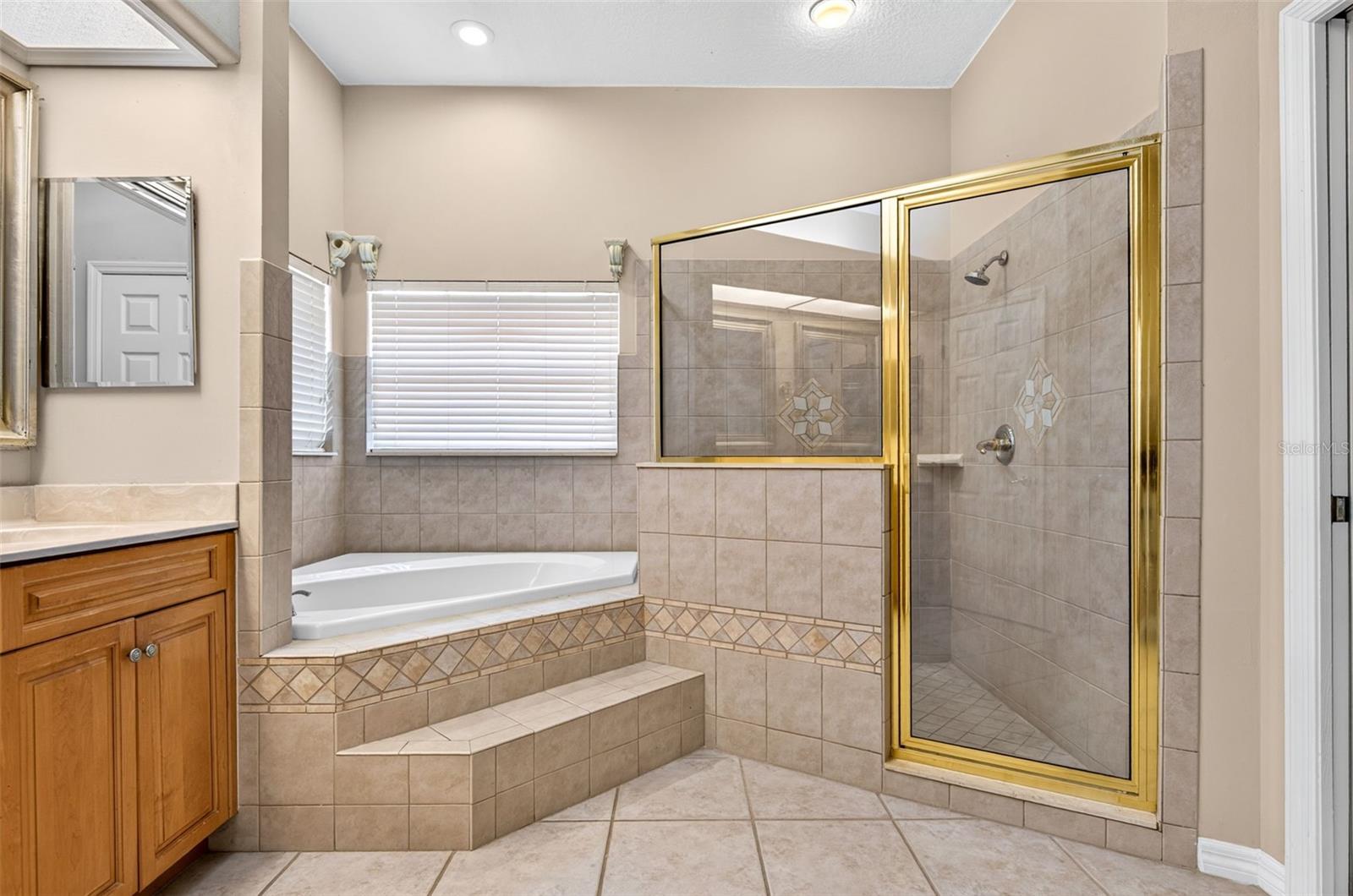 725 CITRUS WOOD LANE, Valrico, FL 33594