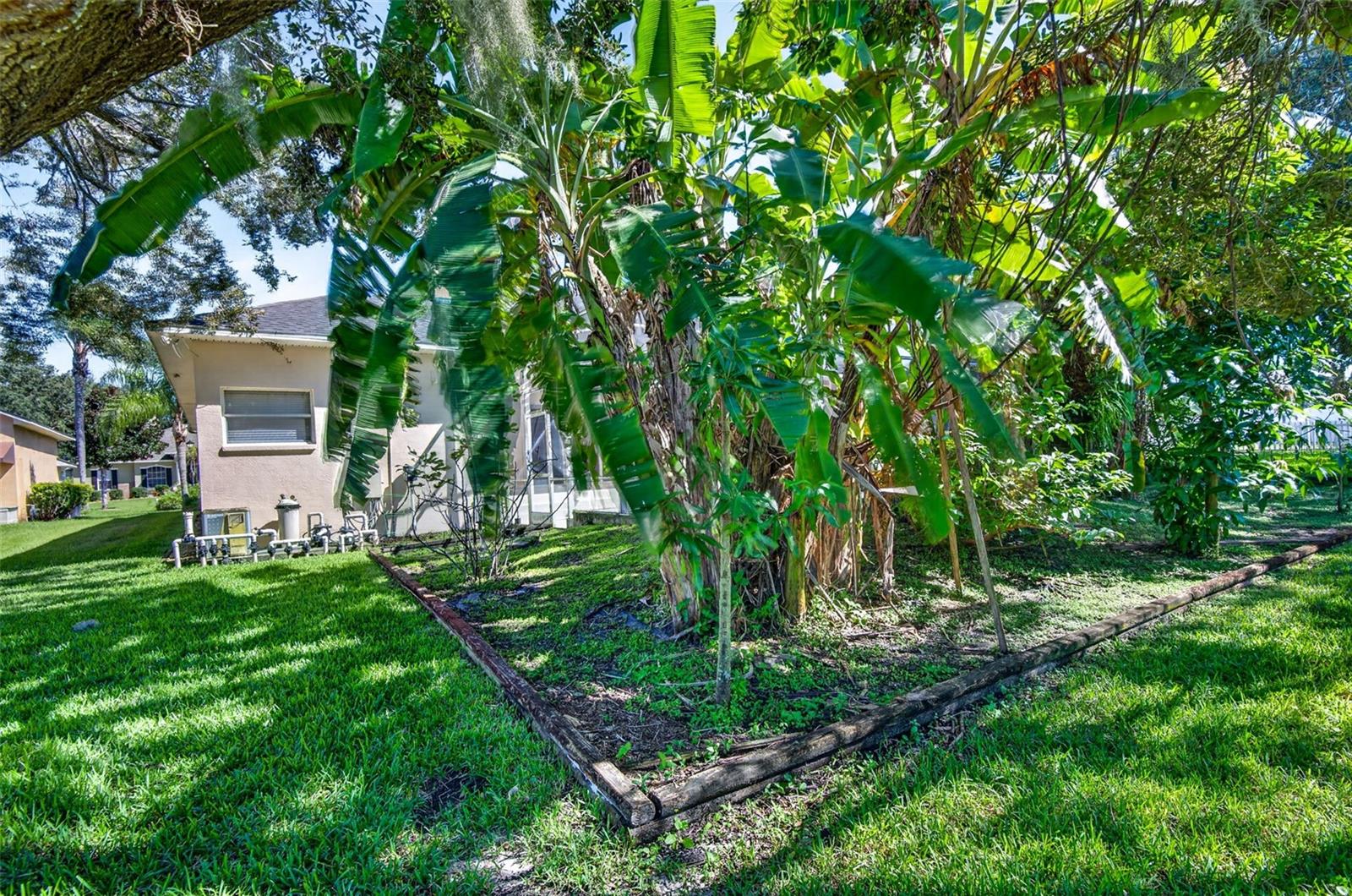 725 CITRUS WOOD LANE, Valrico, FL 33594