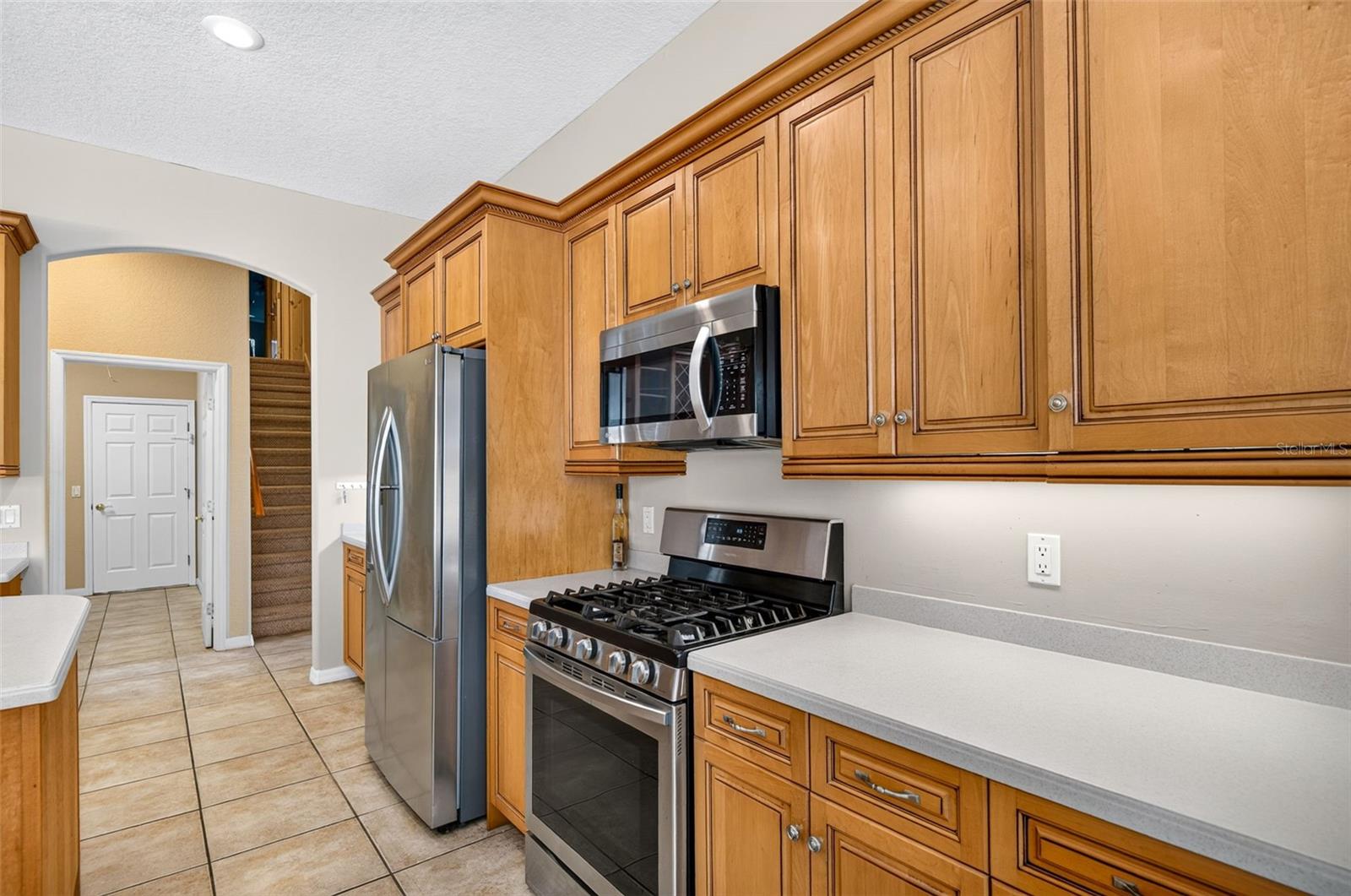 725 CITRUS WOOD LANE, Valrico, FL 33594