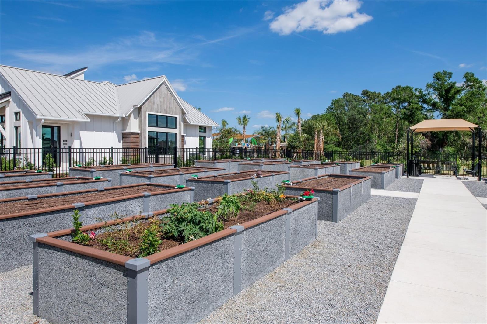 Vidas Bloom Community Garden