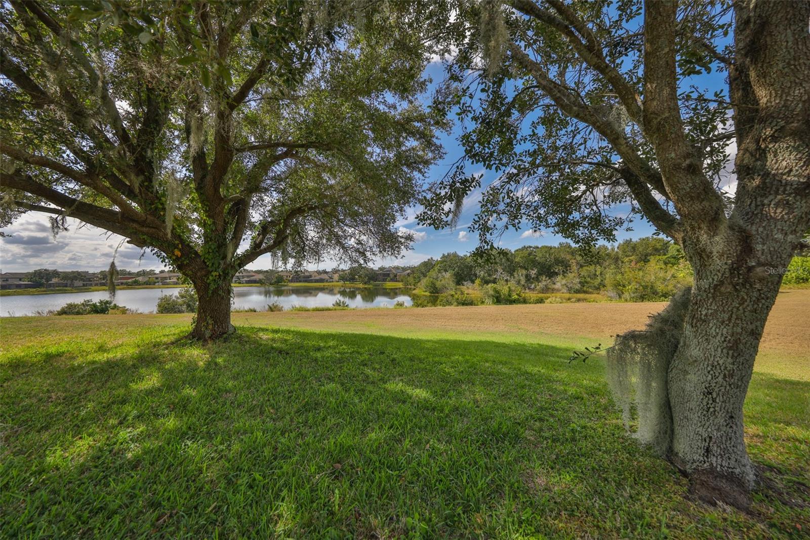 13914 CHALK HILL PLACE, Riverview, FL 33579
