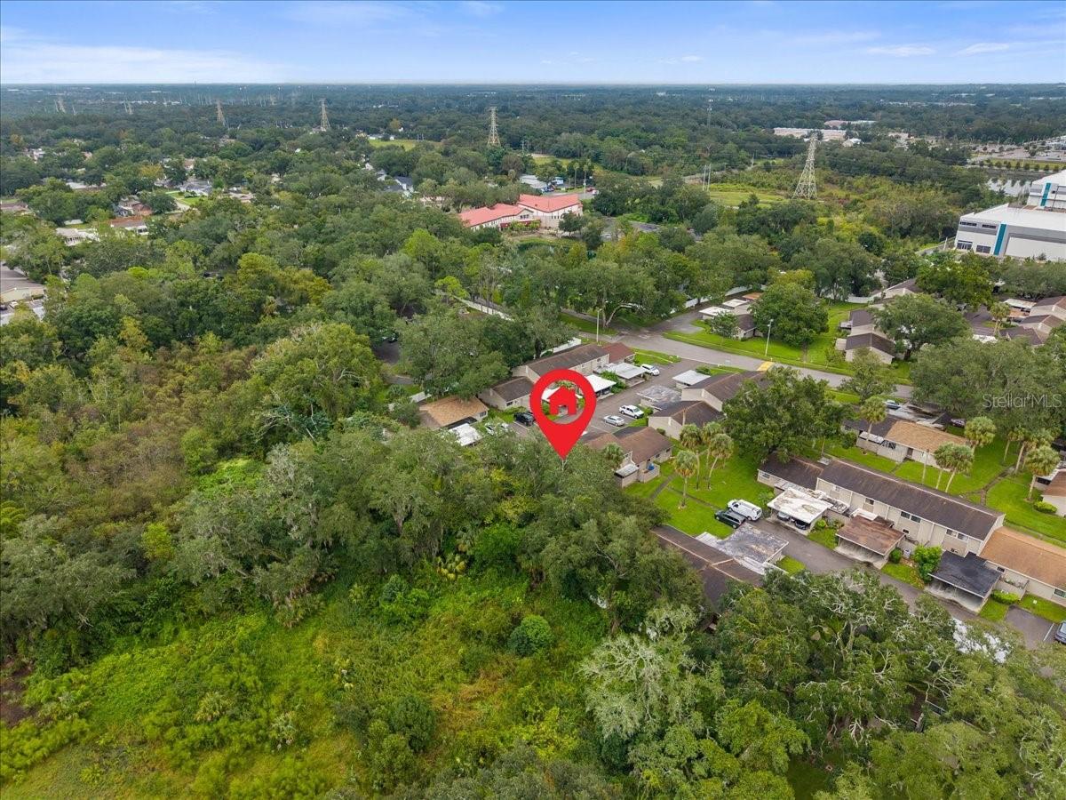 7903 CEDAR DRIVE, Temple Terrace, FL 33637