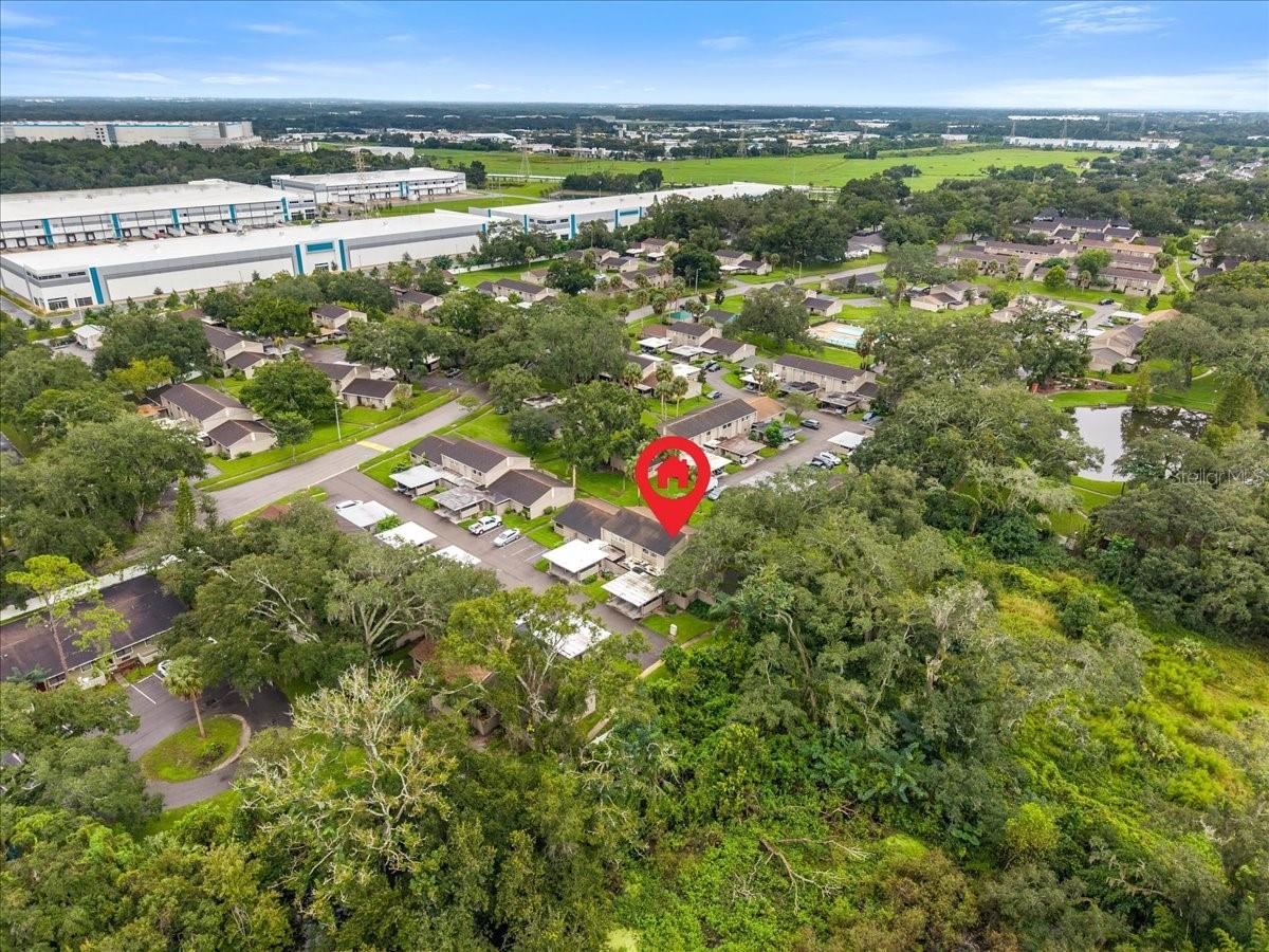 7903 CEDAR DRIVE, Temple Terrace, FL 33637