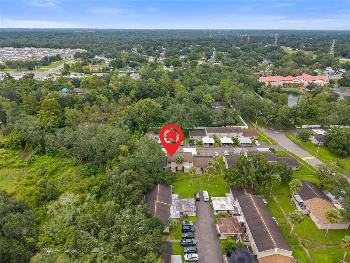 7903 CEDAR DRIVE, Temple Terrace, FL 33637