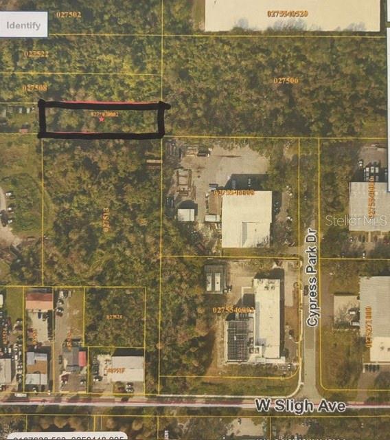 BANJAMIN, Tampa, FL 33634