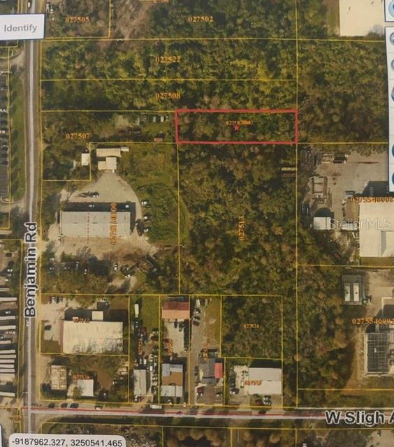 BANJAMIN, Tampa, FL 33634