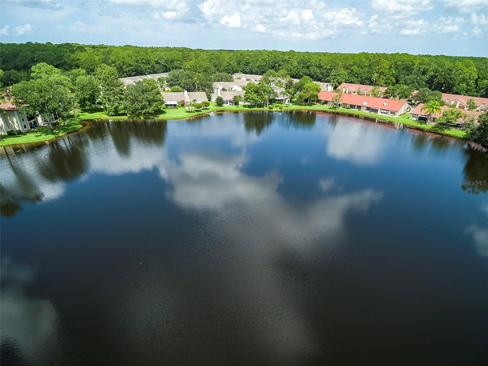 3399 MERMOOR DRIVE, #210, Palm Harbor, FL 34685