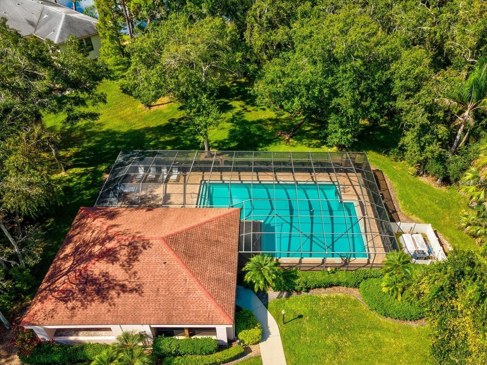 3399 MERMOOR DRIVE, #210, Palm Harbor, FL 34685