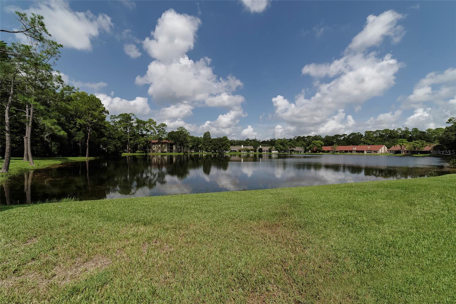 3399 MERMOOR DRIVE, #210, Palm Harbor, FL 34685