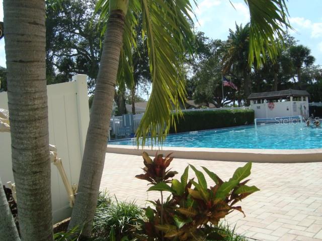 NICE SIZE POOL