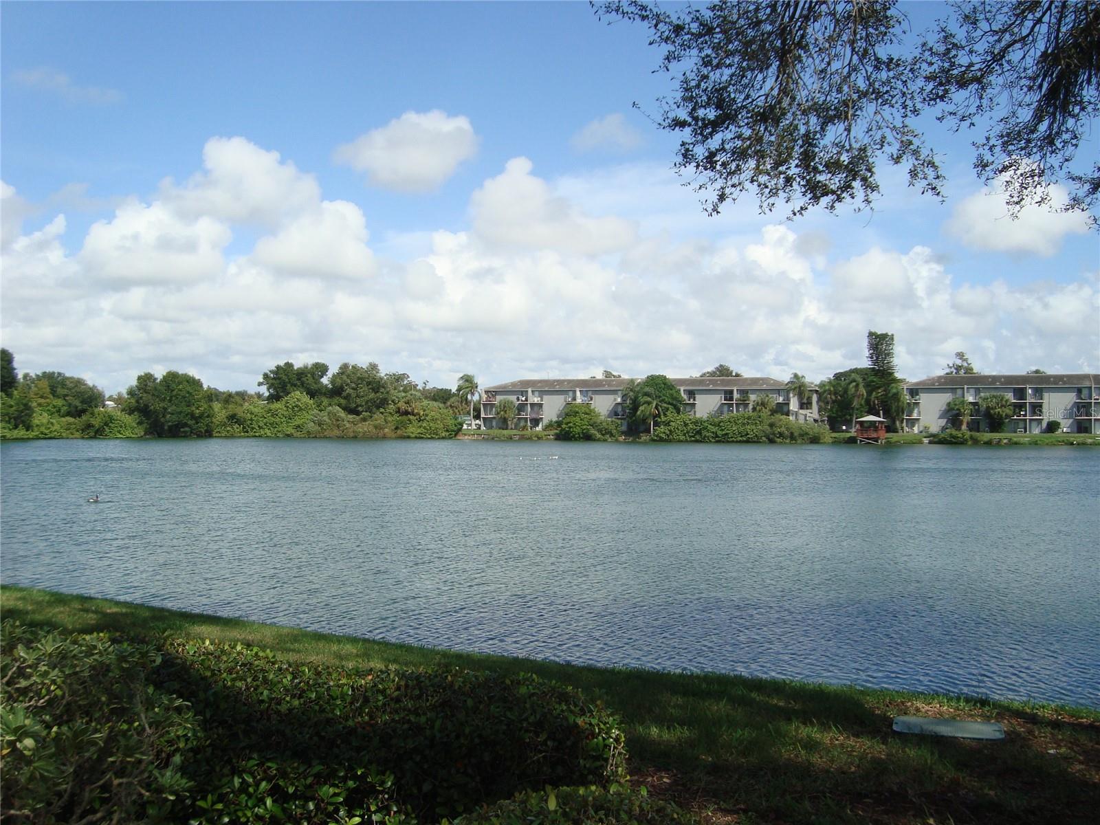 VERY NICE POND