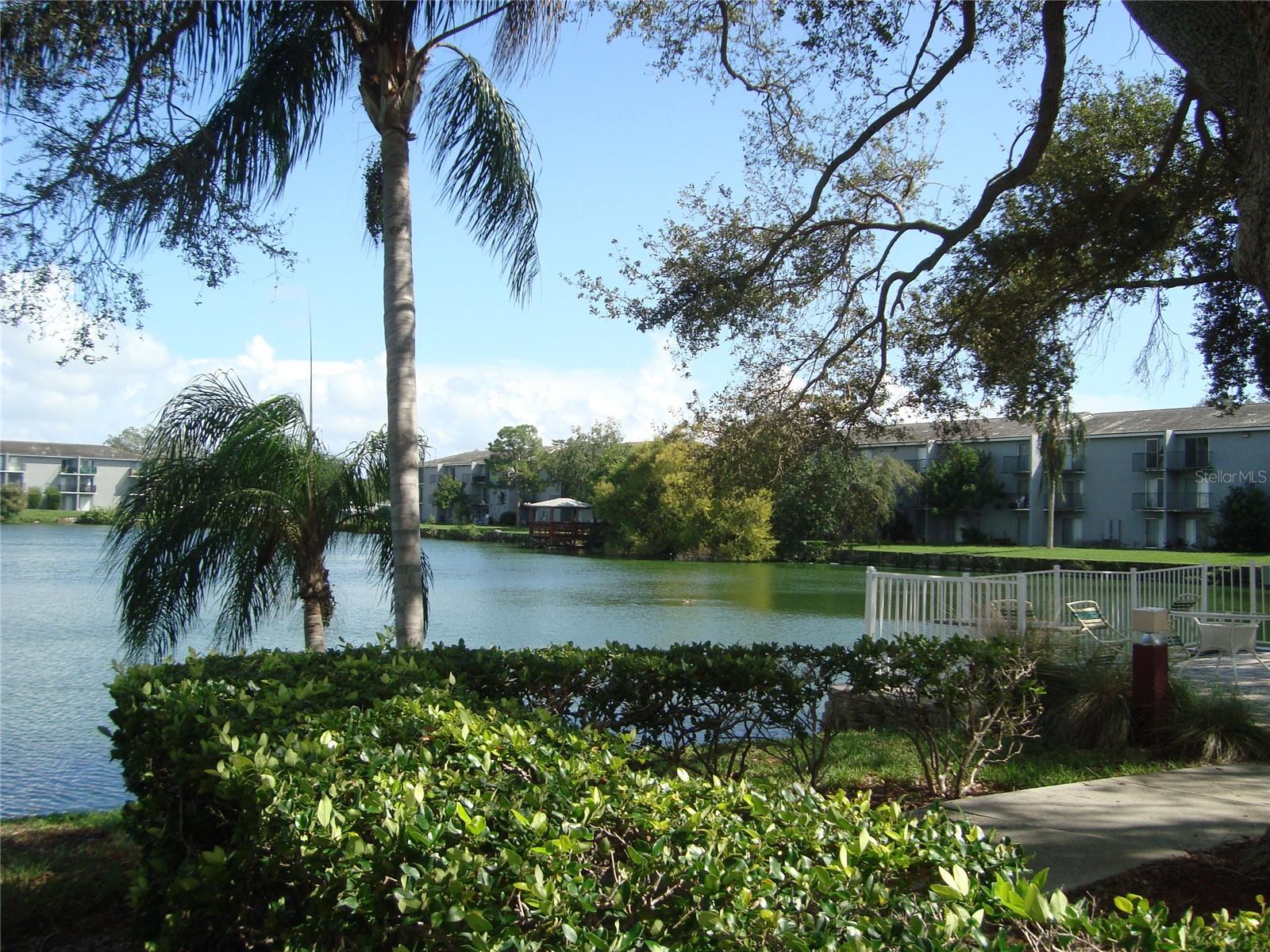 BEAUTIFUL VIEW WITH GREEN SPACE