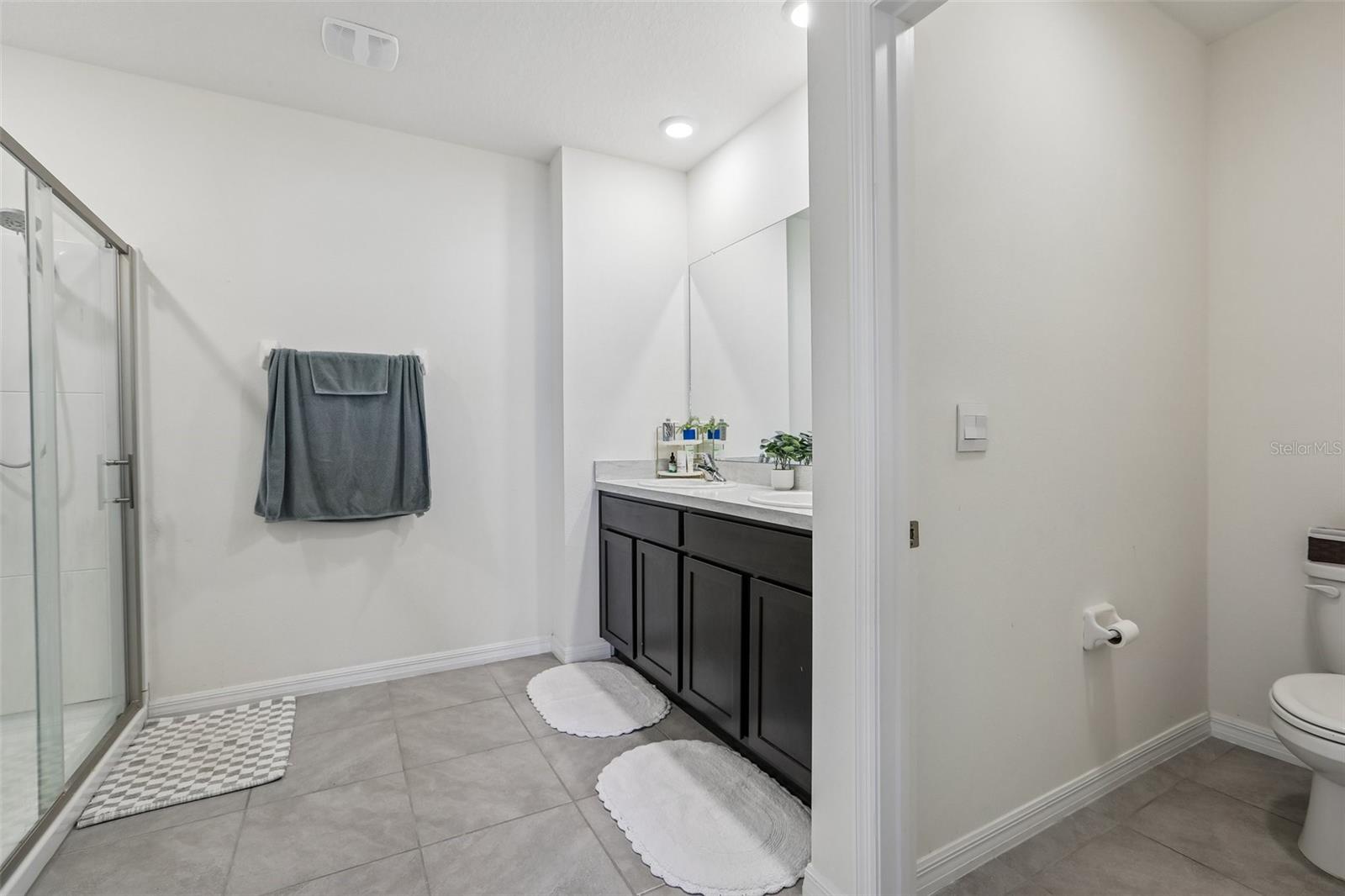 16150 WEATHERED WINDMILL TERRACE, Odessa, FL 33556