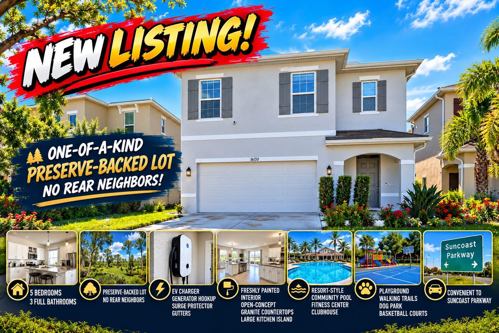 16150 WEATHERED WINDMILL TERRACE, Odessa, FL 33556