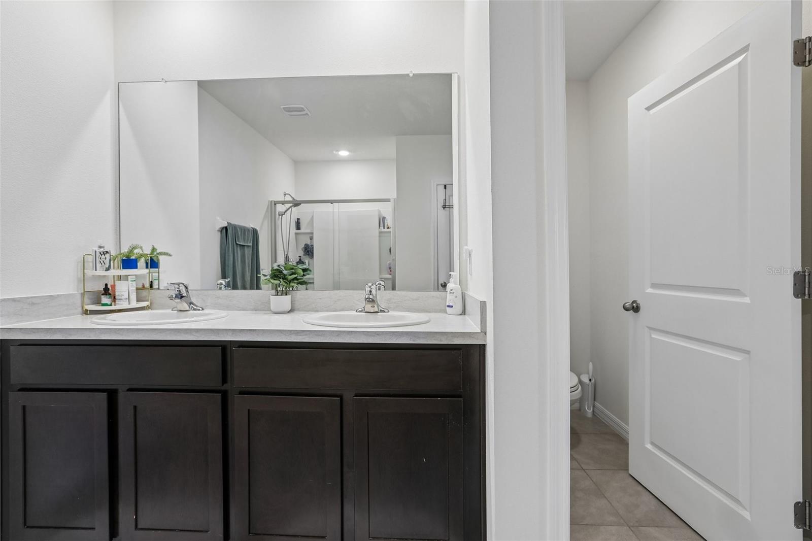 16150 WEATHERED WINDMILL TERRACE, Odessa, FL 33556