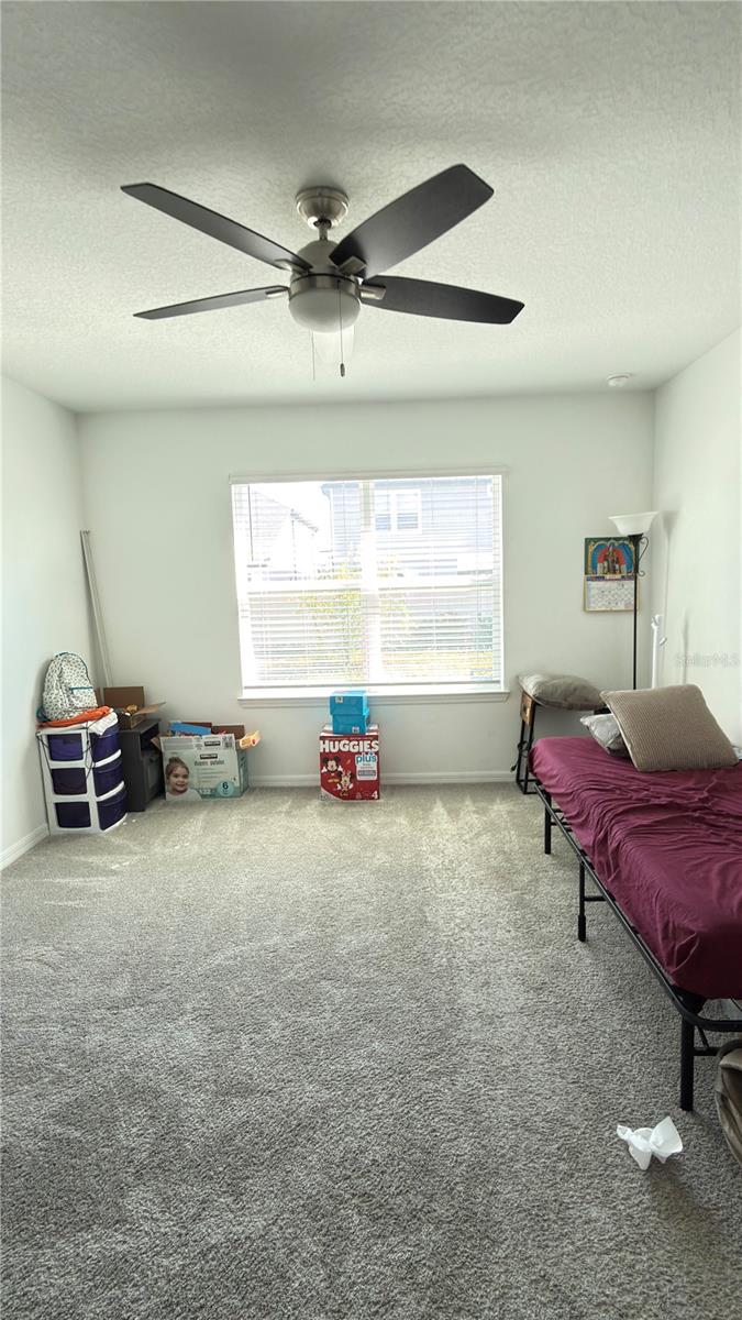 20704 BALSAM HILL ROAD, Land O Lakes, FL 34638
