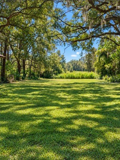 Back Yard - NOT virtually staged