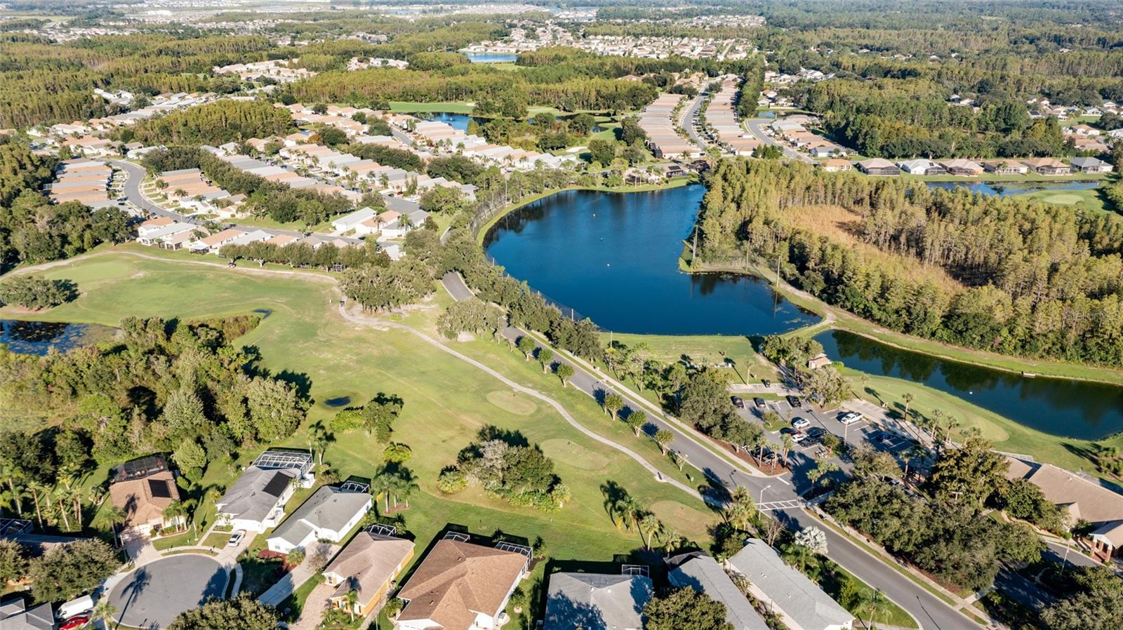 8103 SANGUINELLI ROAD, Land O Lakes, FL 34637
