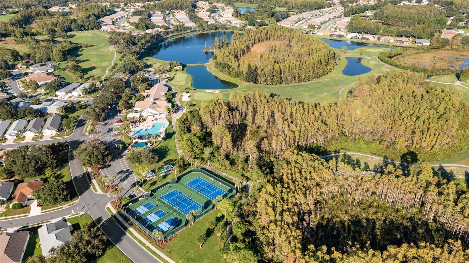 8103 SANGUINELLI ROAD, Land O Lakes, FL 34637