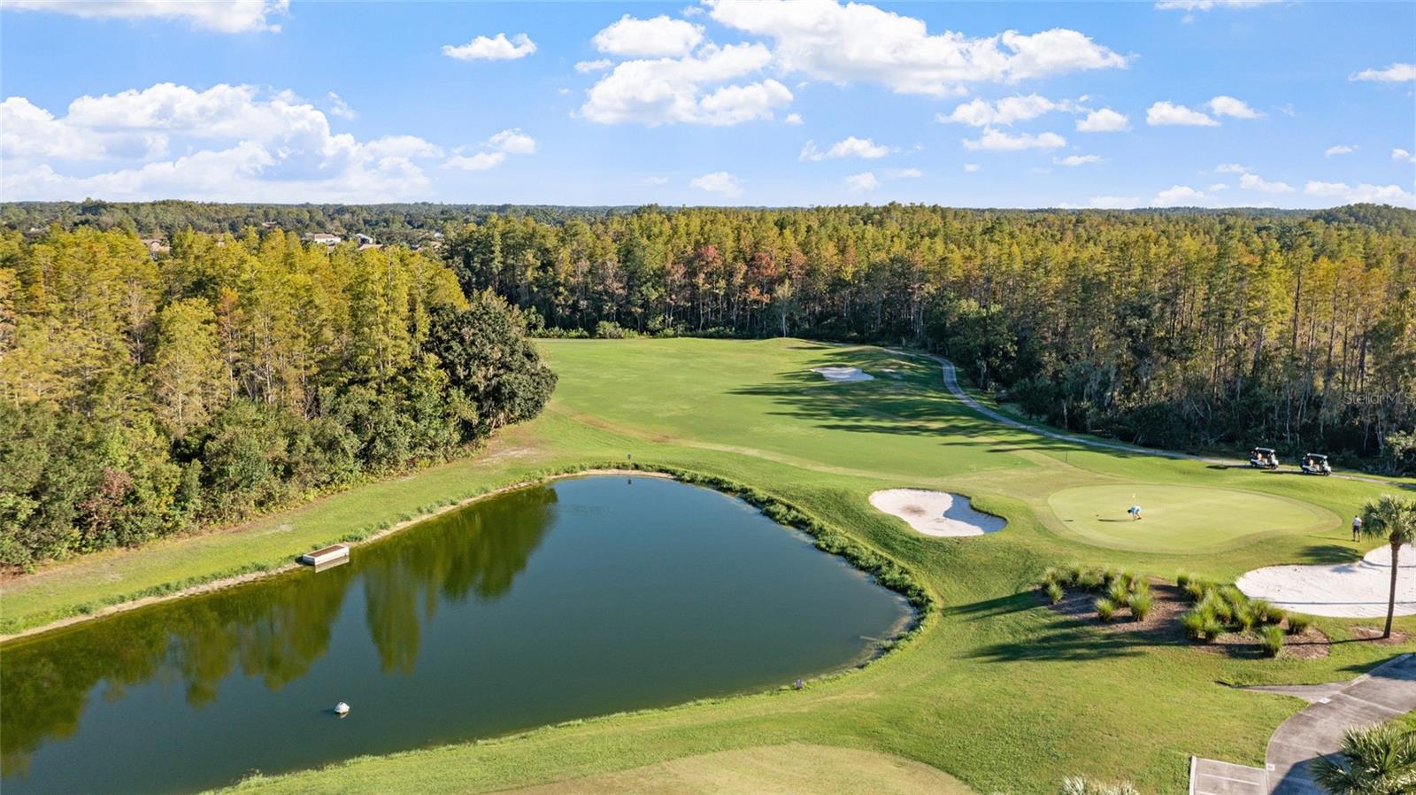 8103 SANGUINELLI ROAD, Land O Lakes, FL 34637