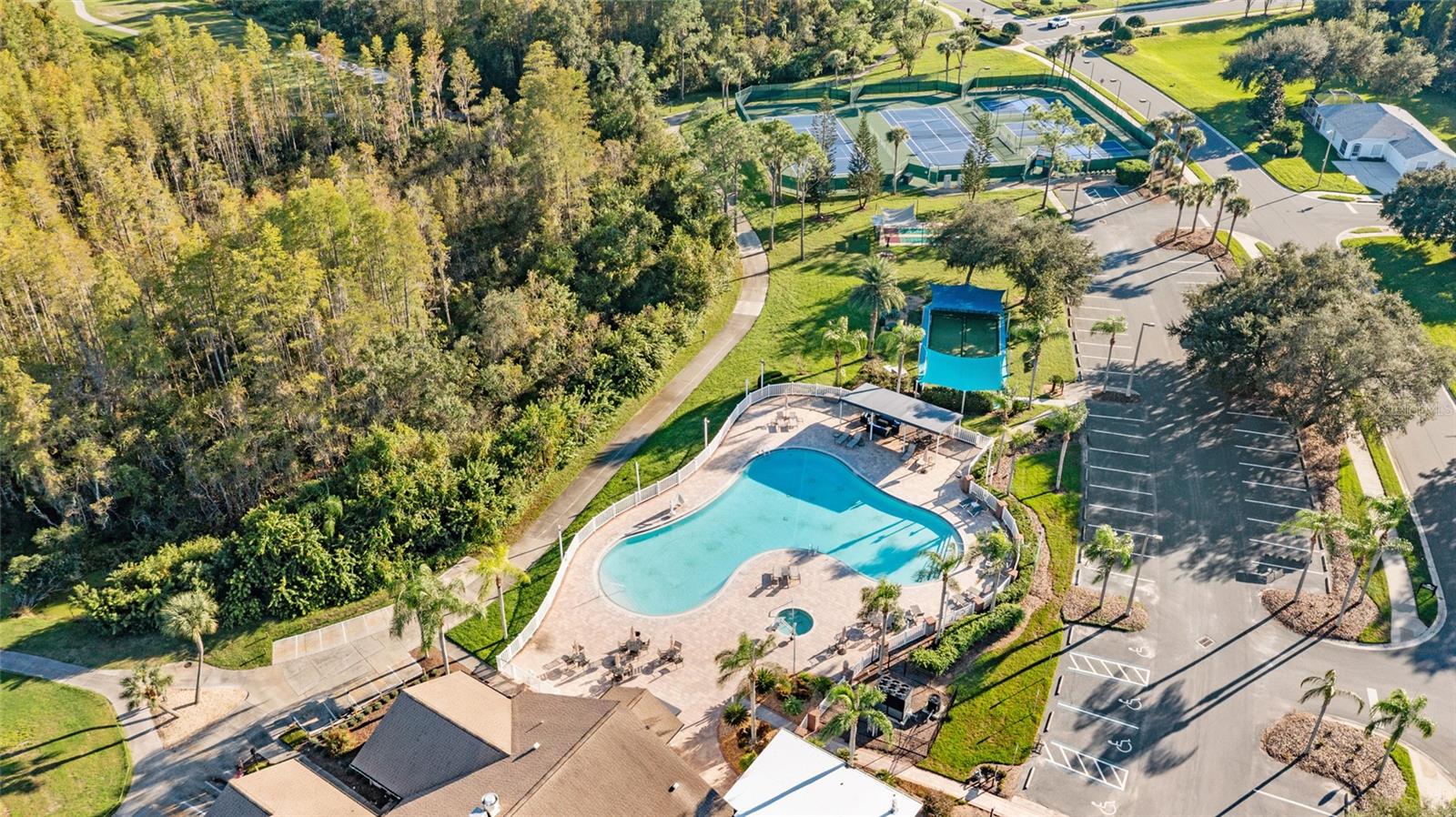 8103 SANGUINELLI ROAD, Land O Lakes, FL 34637