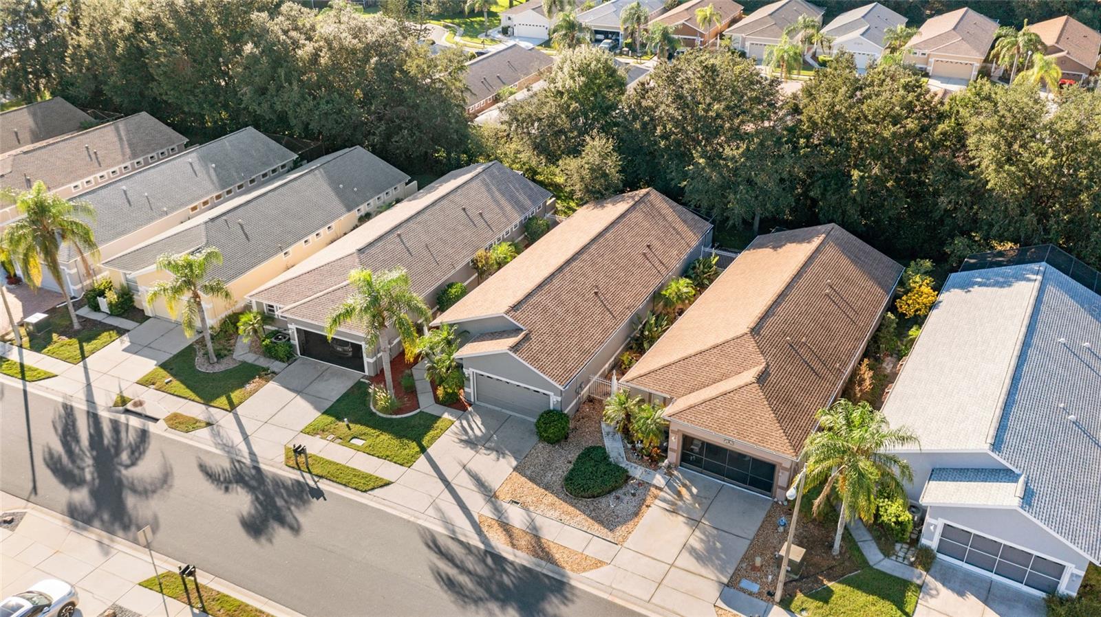 8103 SANGUINELLI ROAD, Land O Lakes, FL 34637