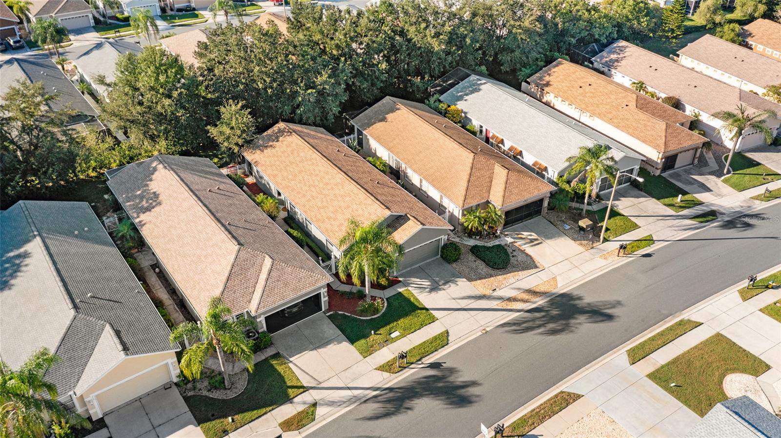 8103 SANGUINELLI ROAD, Land O Lakes, FL 34637