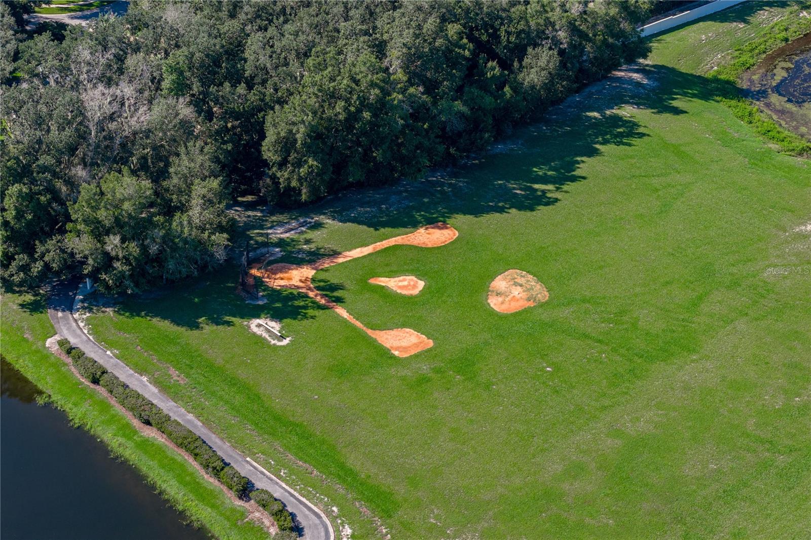 6010 KESTREL POINT AVENUE, Lithia, FL 33547