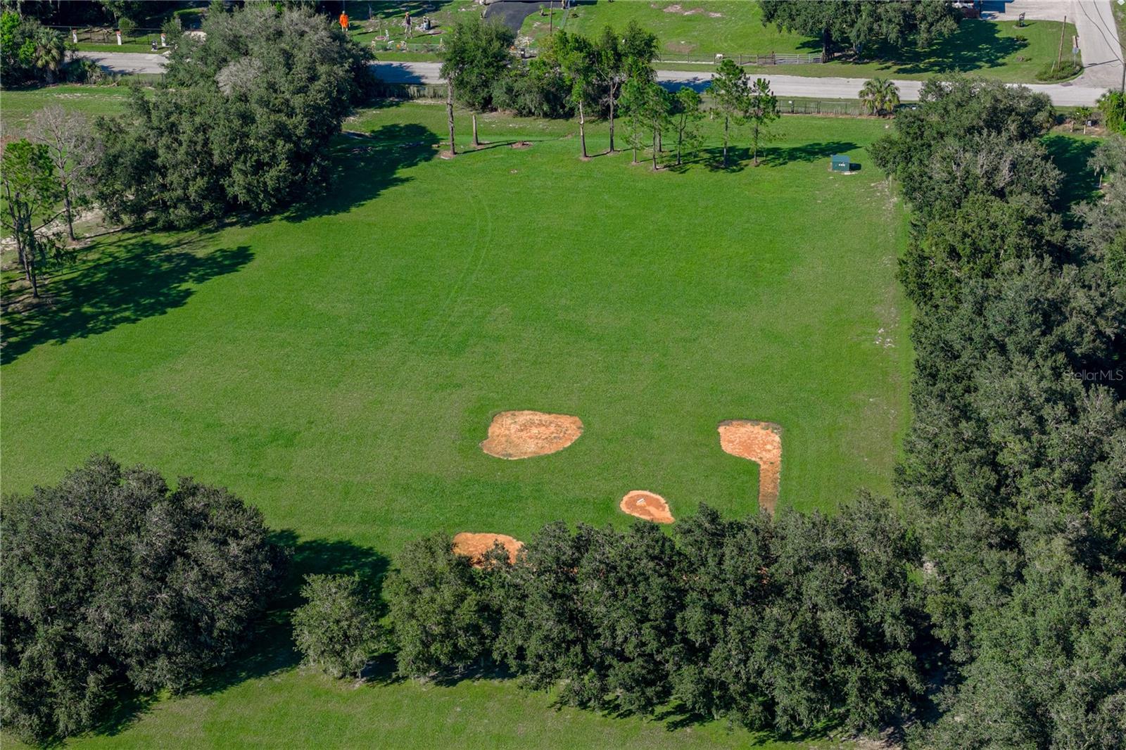 6010 KESTREL POINT AVENUE, Lithia, FL 33547