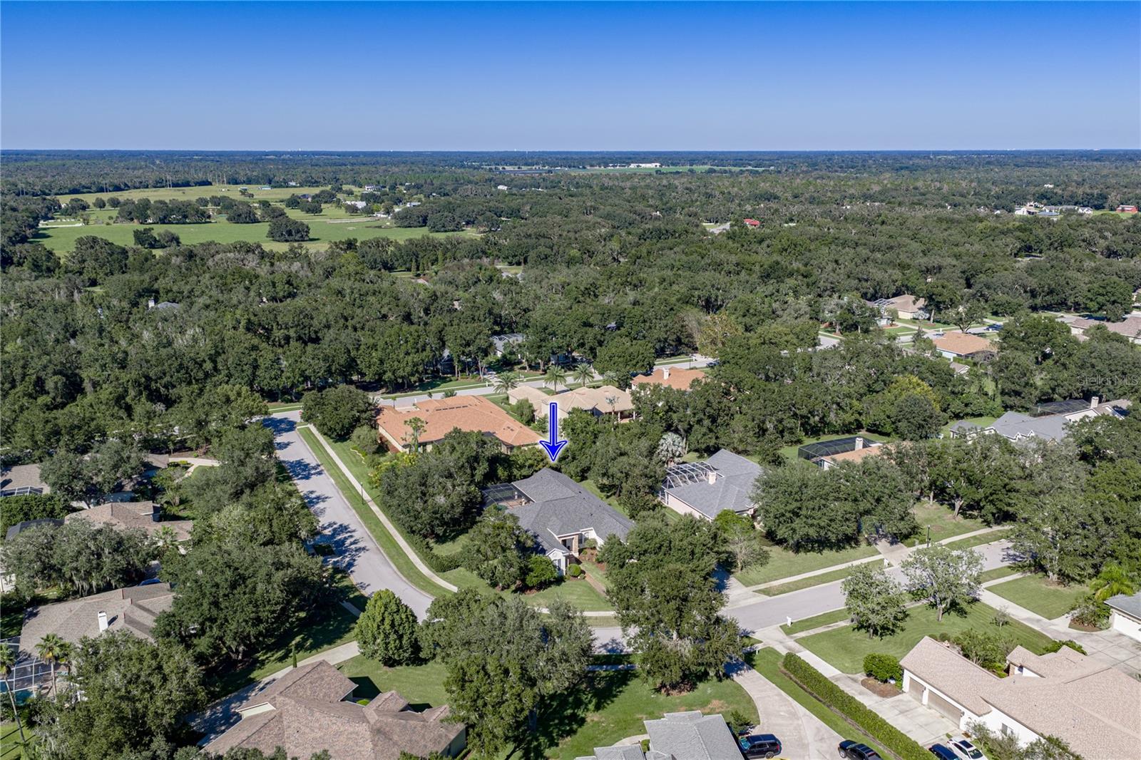 6010 KESTREL POINT AVENUE, Lithia, FL 33547