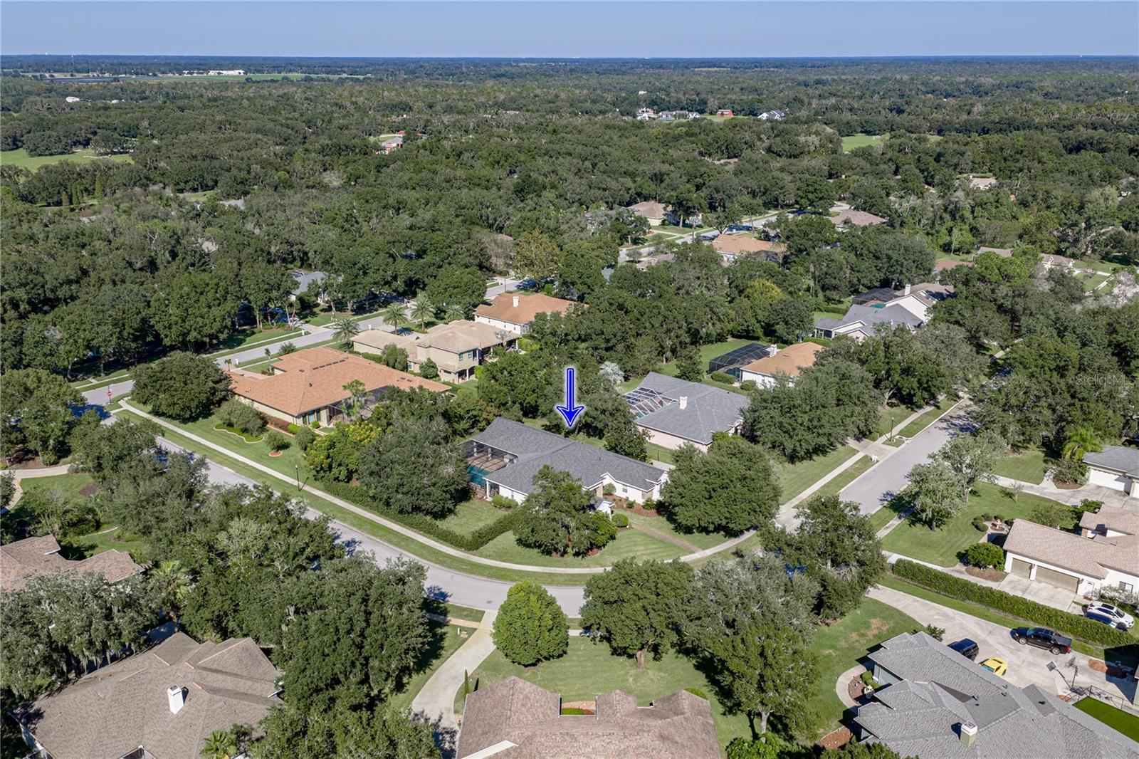 6010 KESTREL POINT AVENUE, Lithia, FL 33547