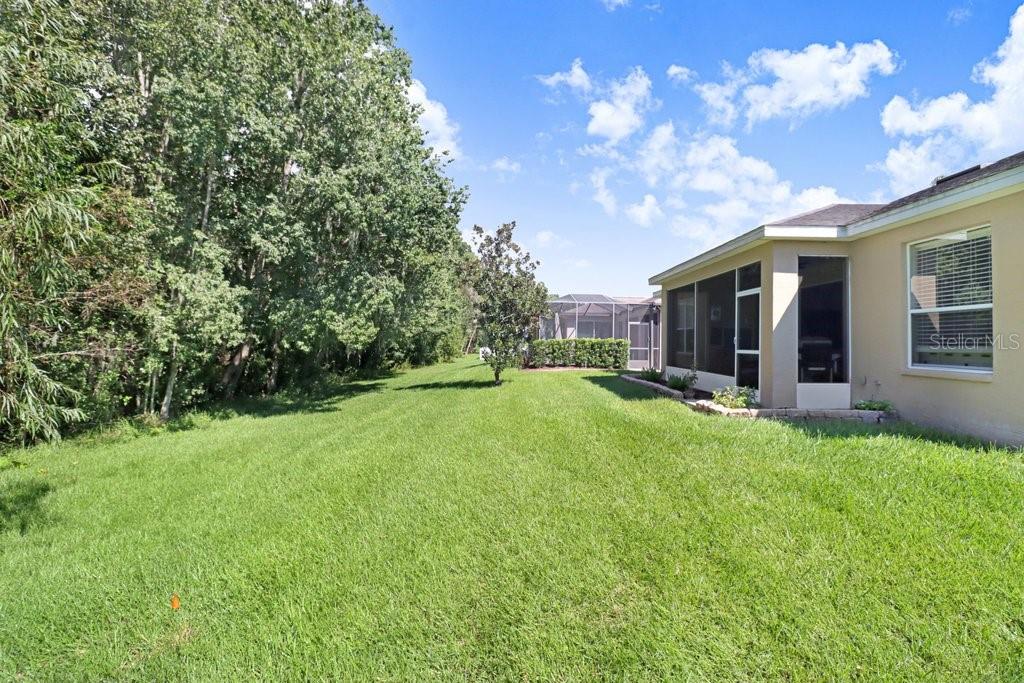 View of back of home and conservation area