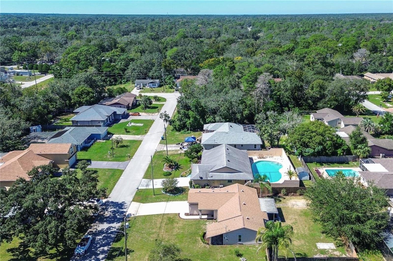 8265 GOODRICH STREET, Spring Hill, FL 34606