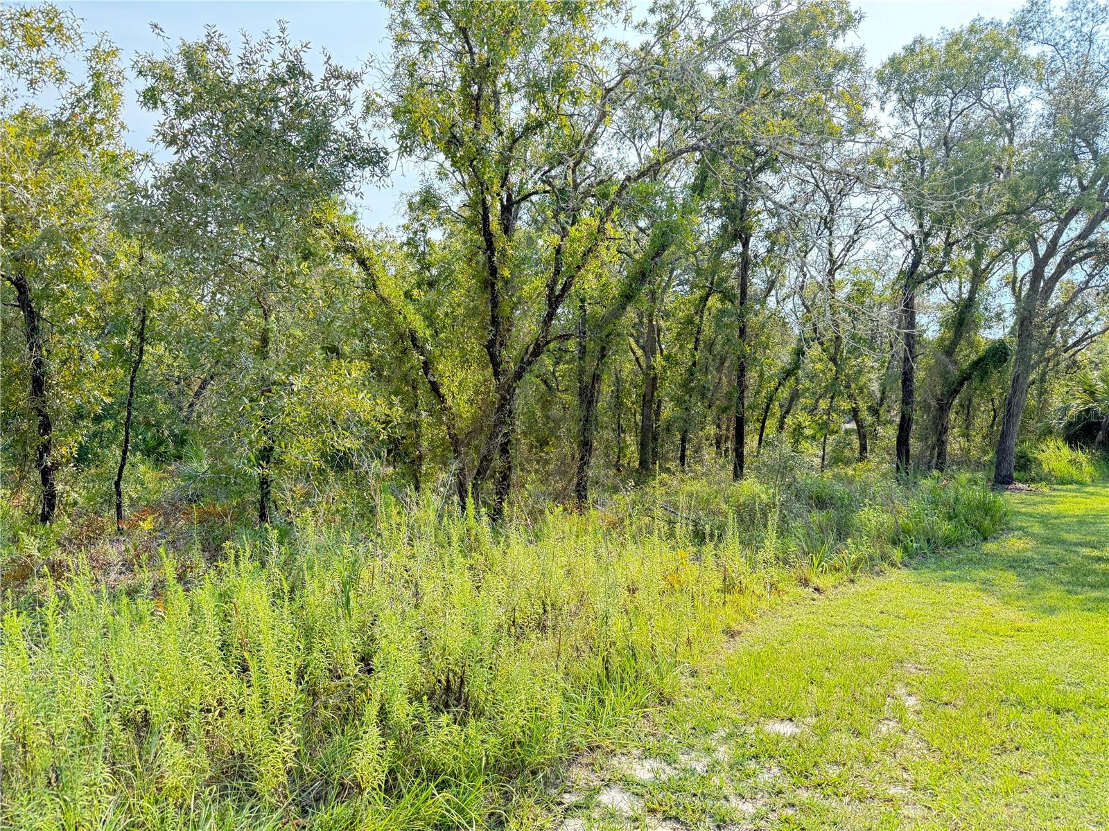 11096 MARSH WREN AVENUE, Weeki Wachee, FL 34614 11096 MARSH WREN AVENUE, Weeki Wachee, FL 34614