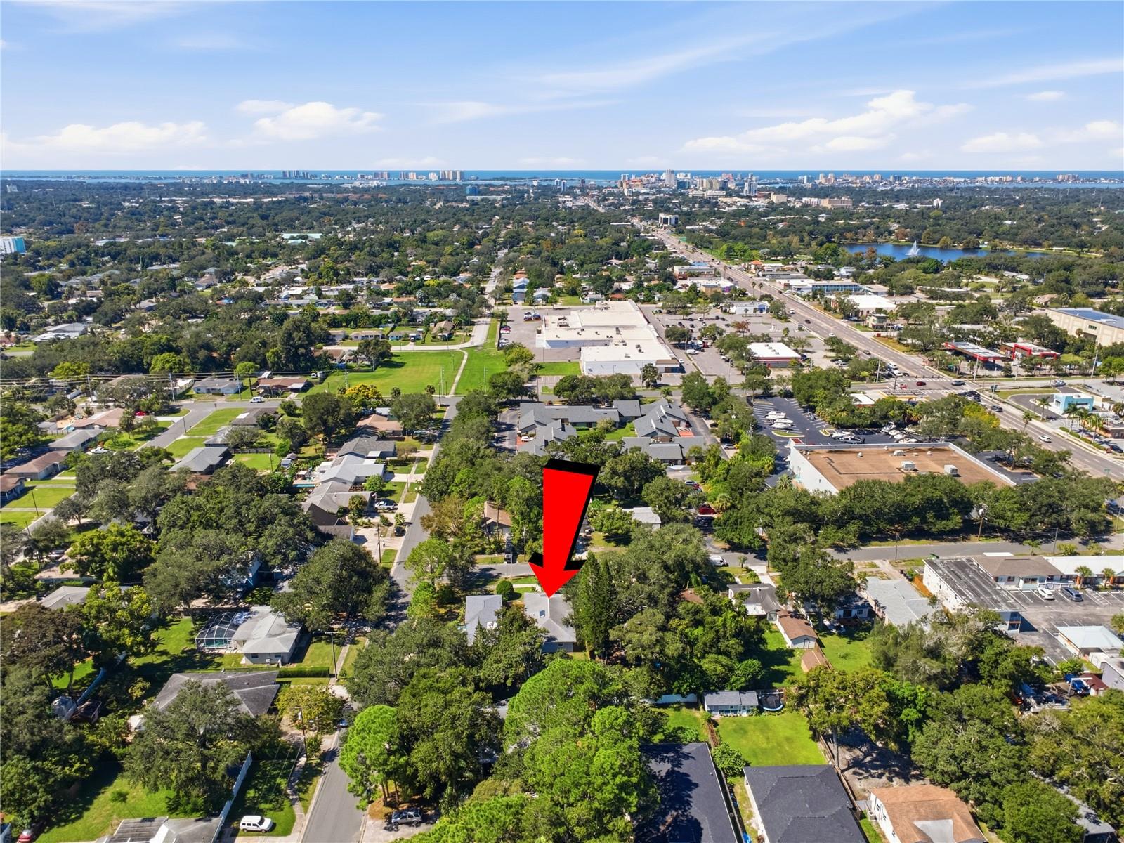 541 PLUMOSA AVENUE, Clearwater, FL 33756