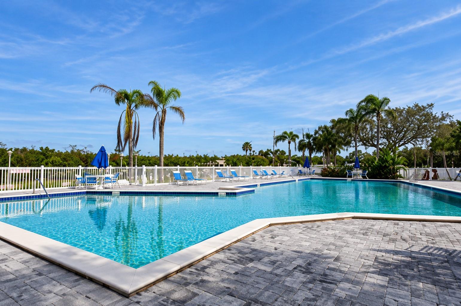 MAIN POOL