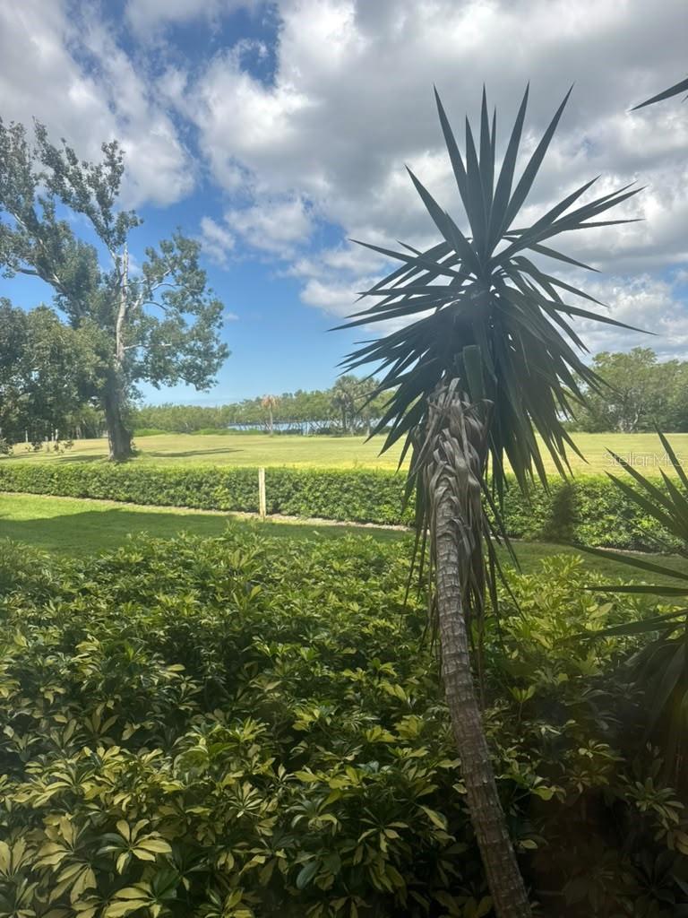 2617 COVE CAY DRIVE, #107, Clearwater, FL 33760