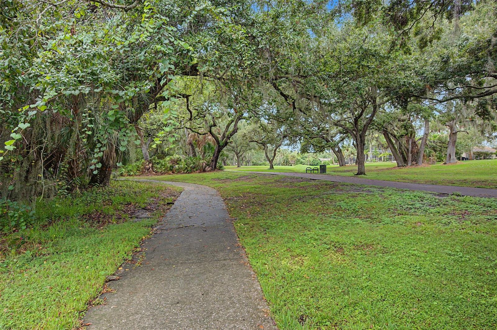 420 N BAYSHORE BOULEVARD, #104, Clearwater, FL 33759