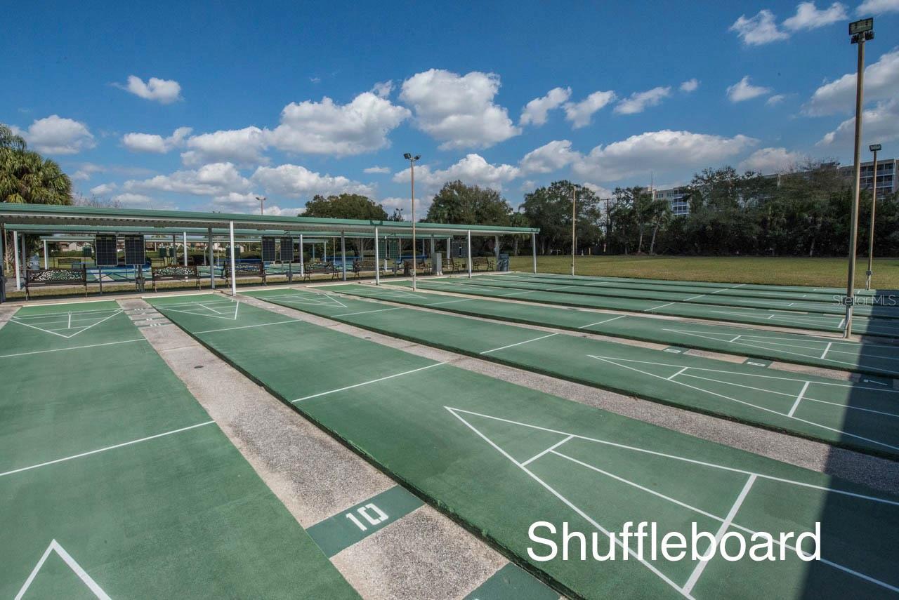 2418 KENSINGTON GREENS DRIVE, #9, Sun City Center, FL 33573
