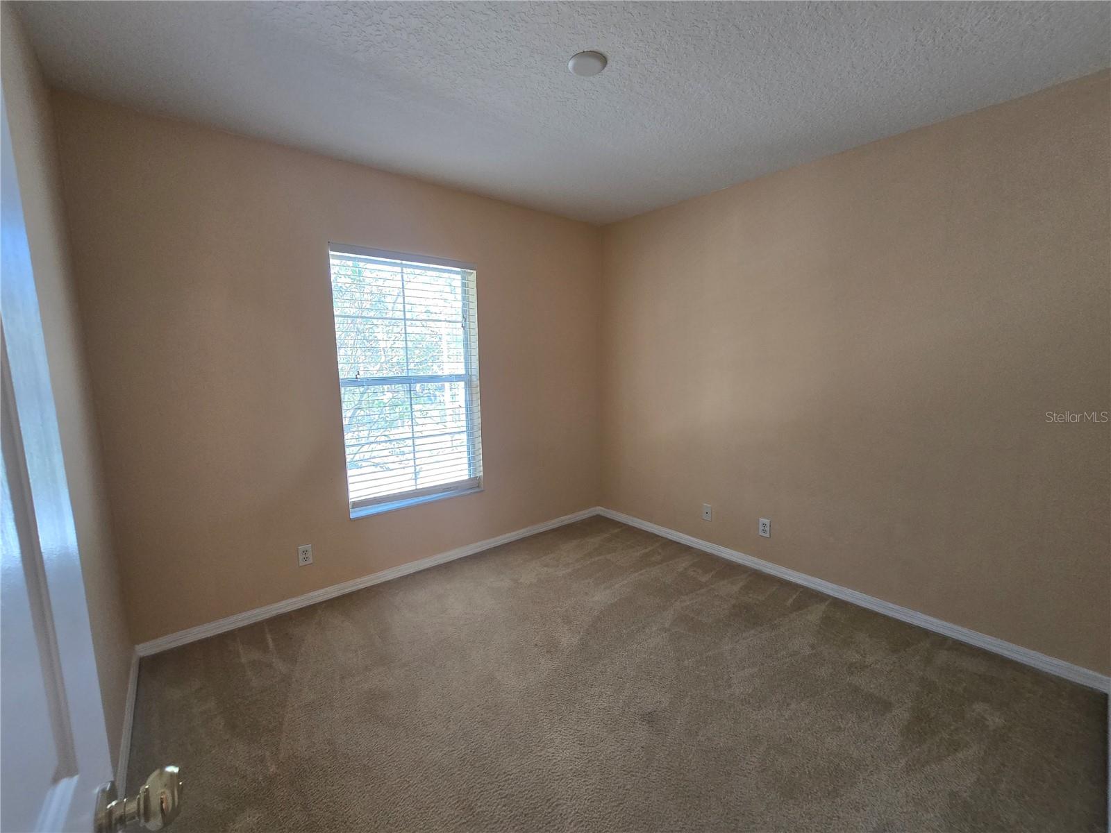 216 DRAW BRIDGE LANE, Valrico, FL 33594