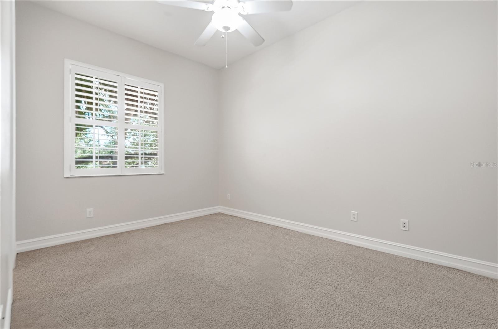 Tampa, FL 33609