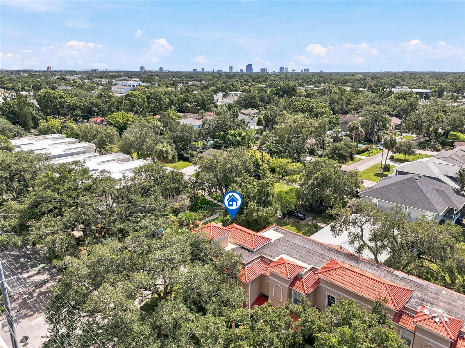 Tampa, FL 33609